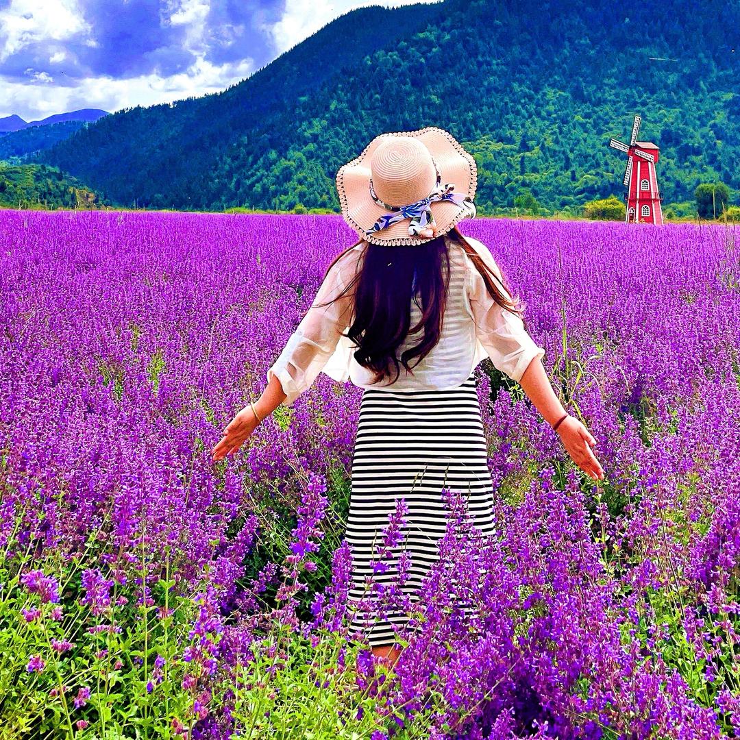 拾光🌸📷