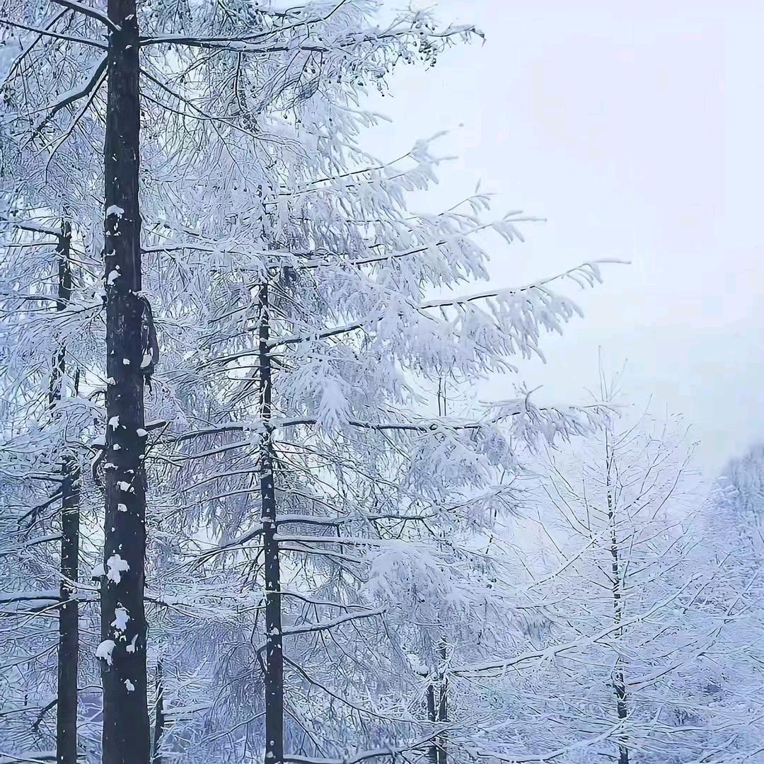 拥有