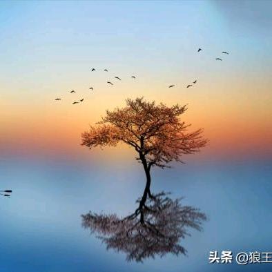 (●✿∀✿●)运满💹乾坤꧁᭄ ꧂