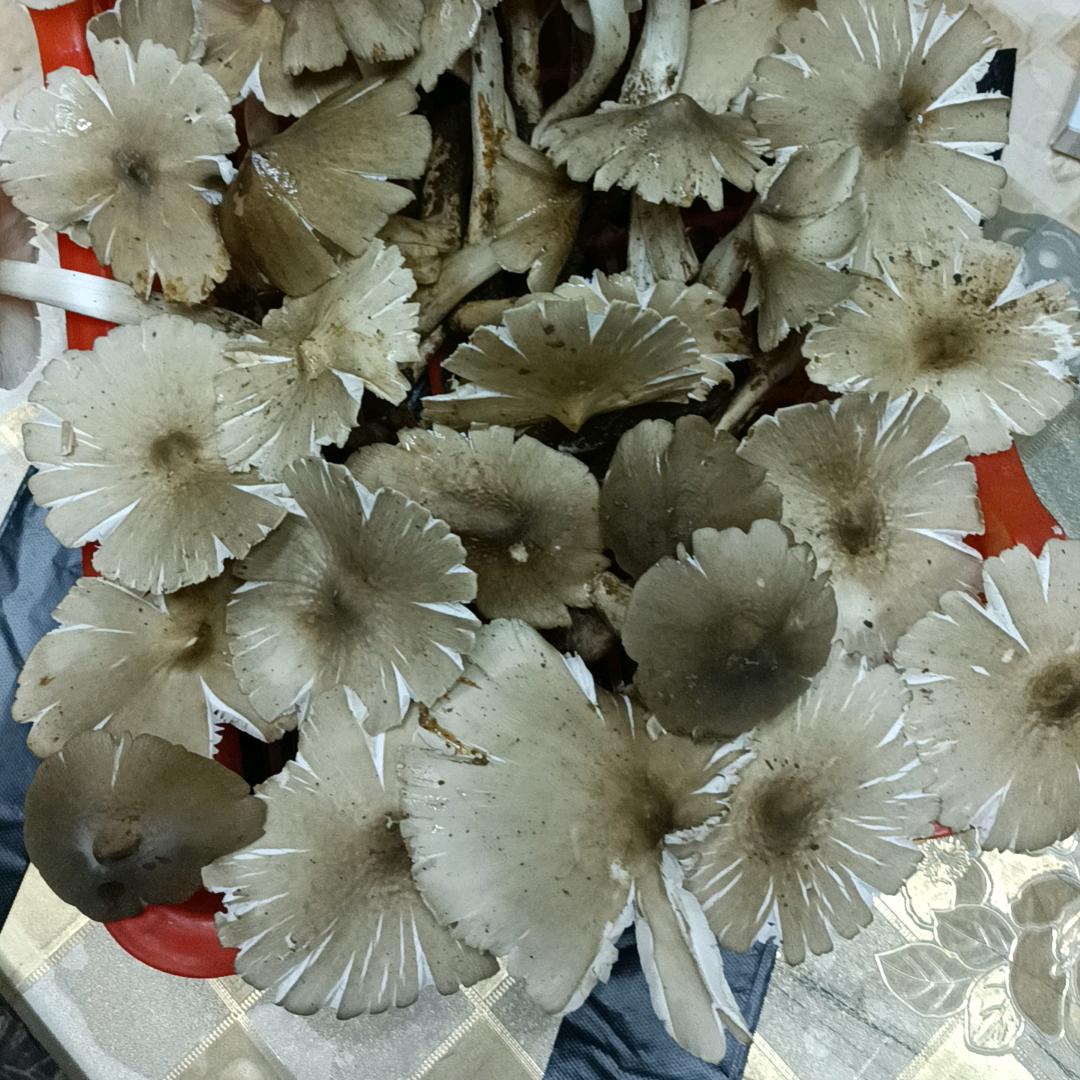 🧚🏼‍♀️小琳🧚🏼‍♂️