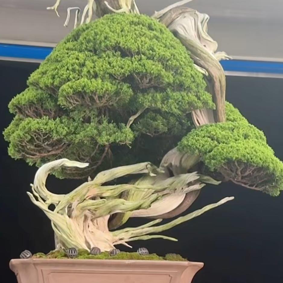 星启创联
