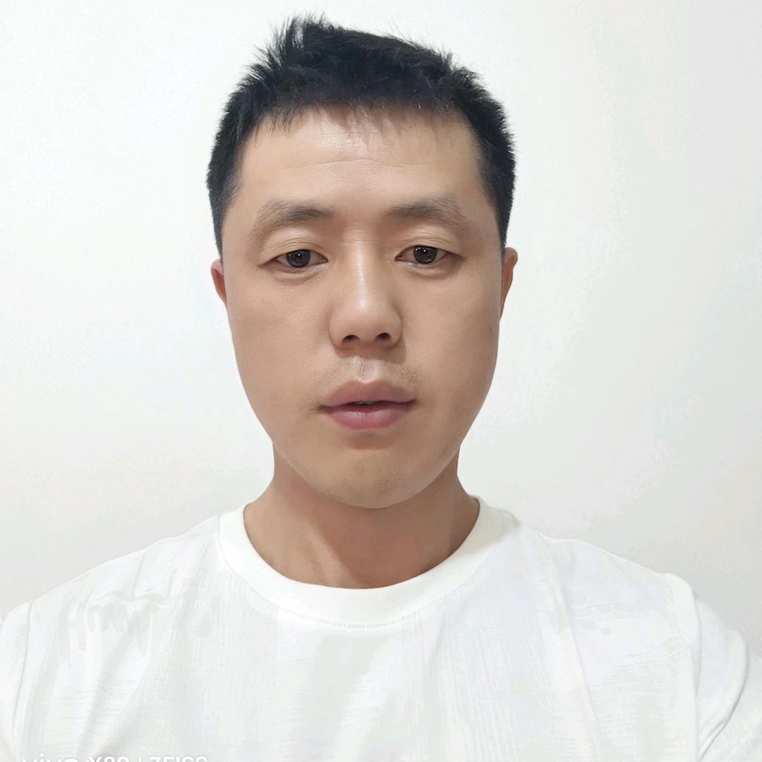 龙吟天下