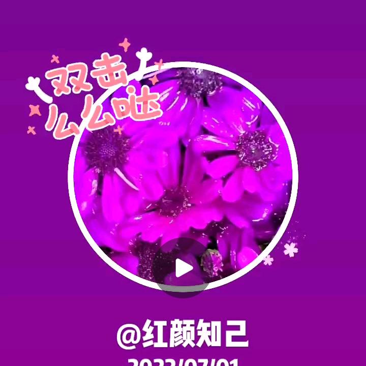 为了生活奋斗👫