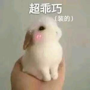 贝斯特（三角洲行动）