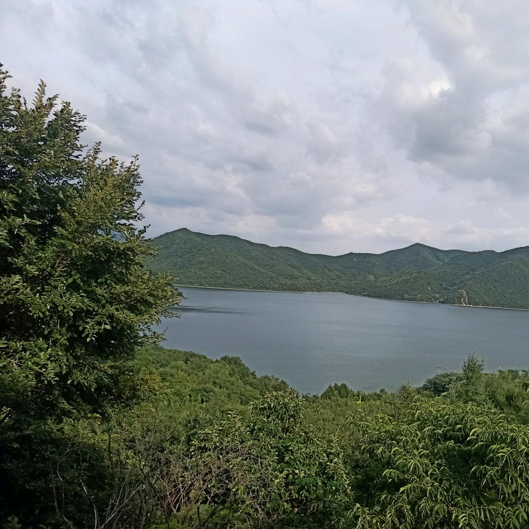 出现