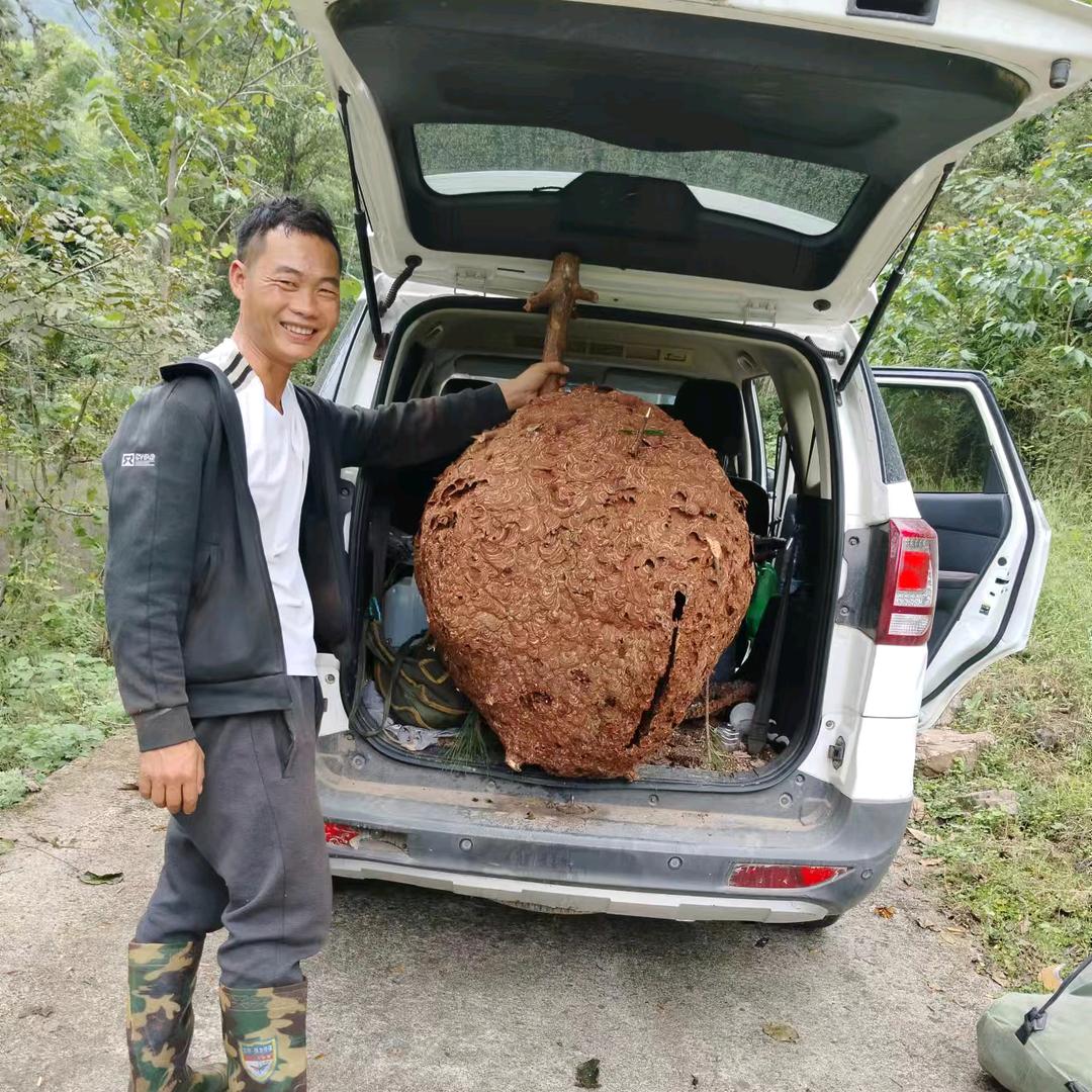 户外活动者