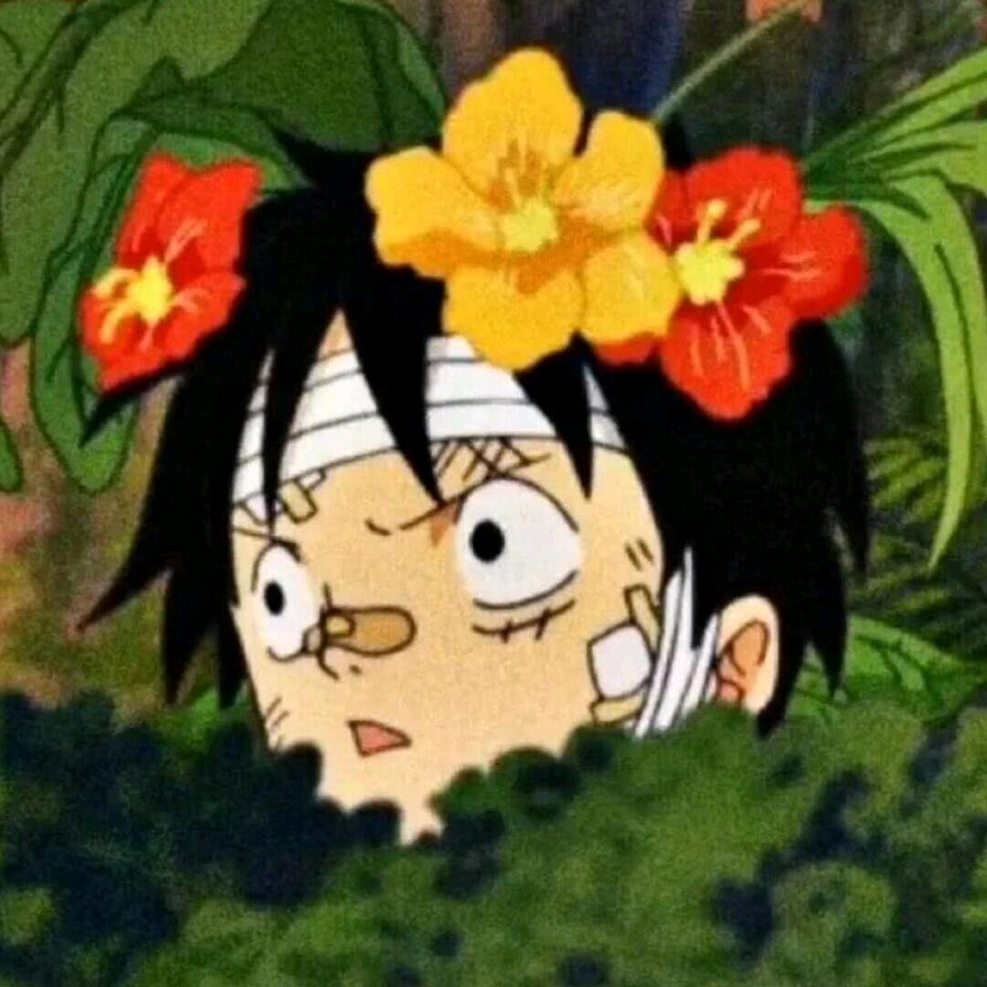 薛同学