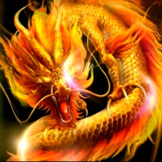 龙的传人🈲