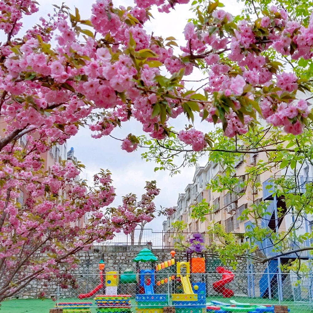 金童之梦幼儿园
