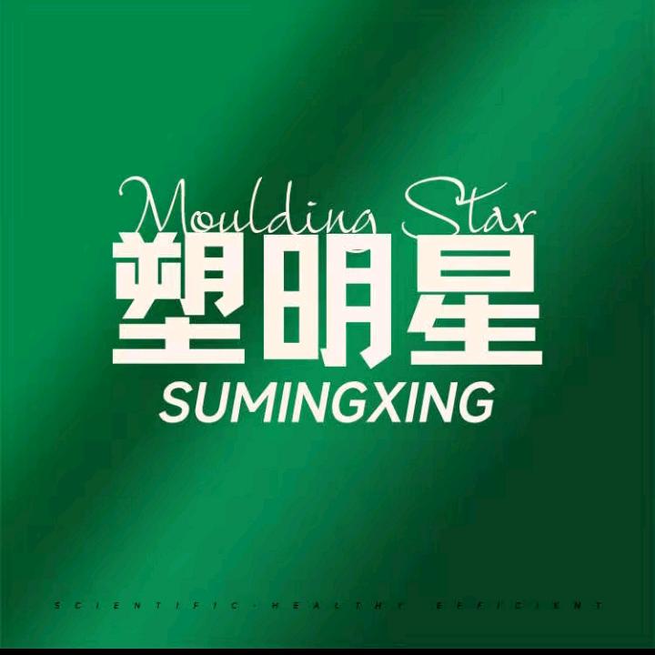 塑明星礼县店