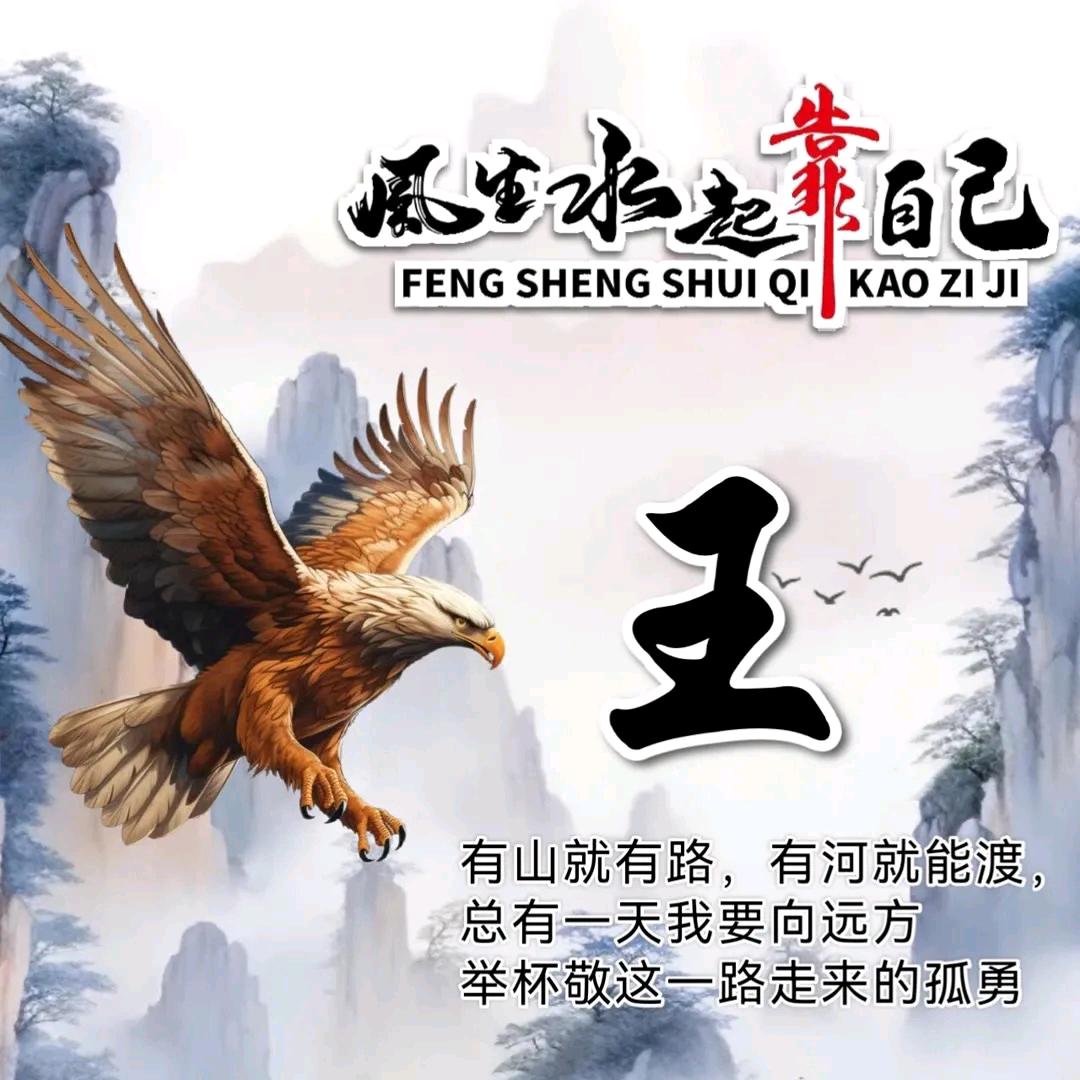 傻傻的豆