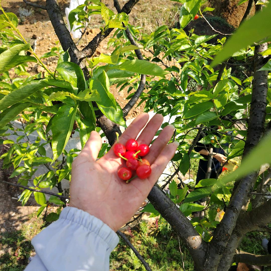 大兵！生活用品