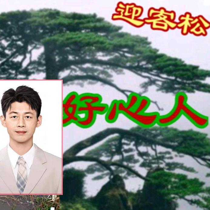 迎客松黄德胜