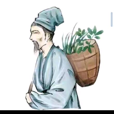 古法草本