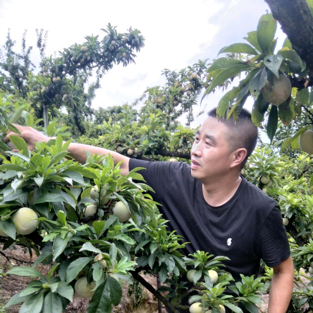 八方鲜果大卖场