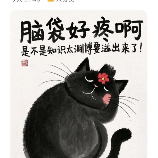 我麻麻💎