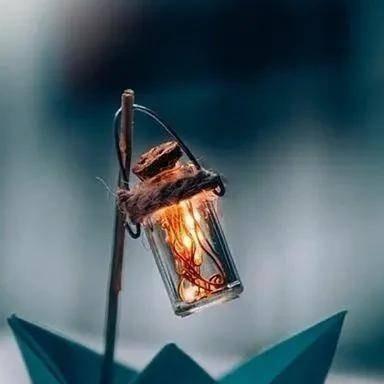 乡村摄影爱好者