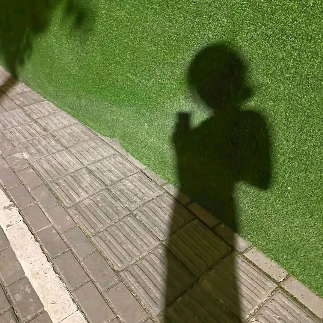 高高不高