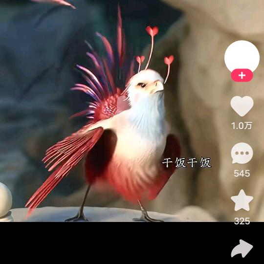 花花小说