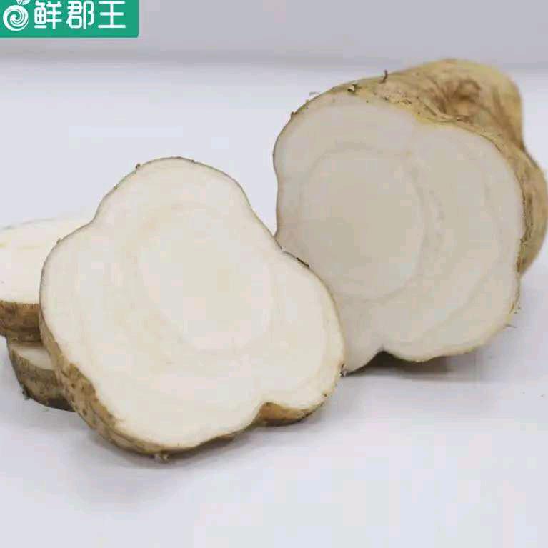 梧职小羊葛根
