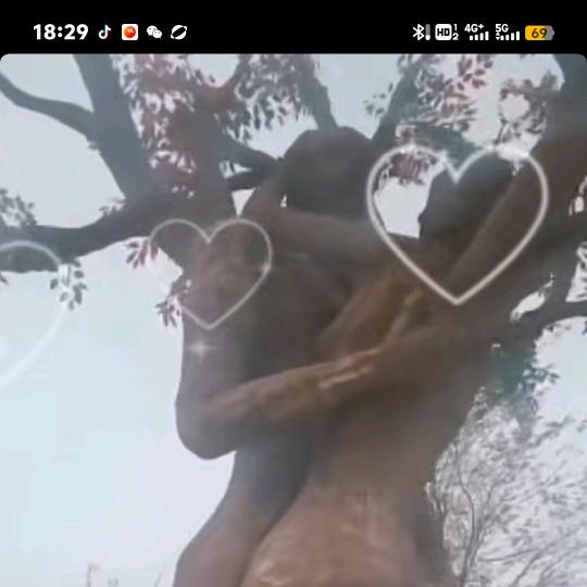 小野猫