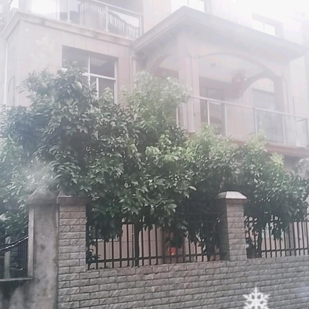 鄢姐
