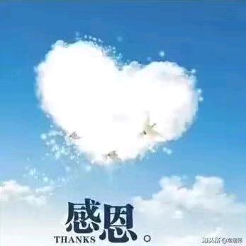 快乐小锋（找搭档）