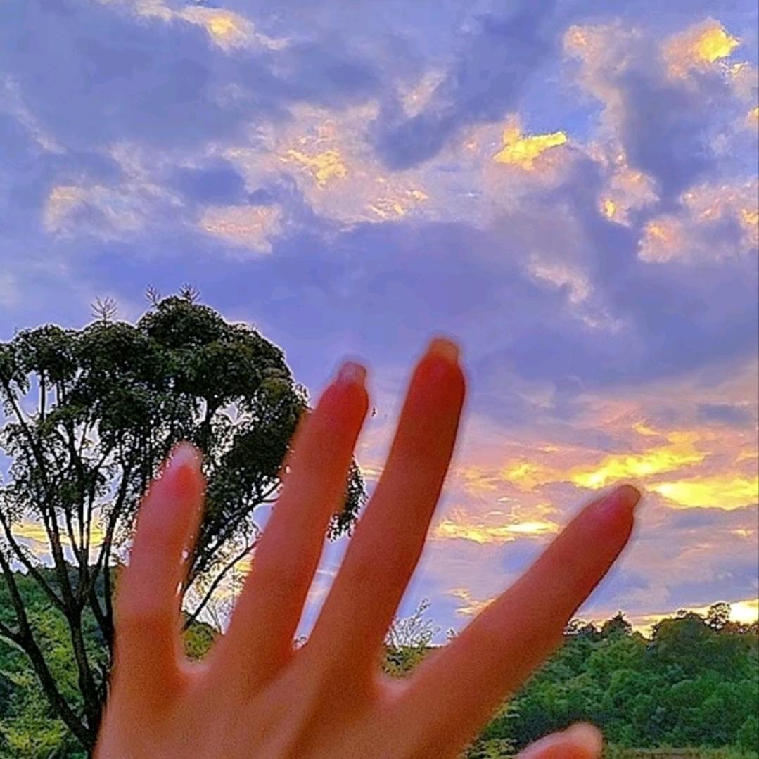 小陪衬