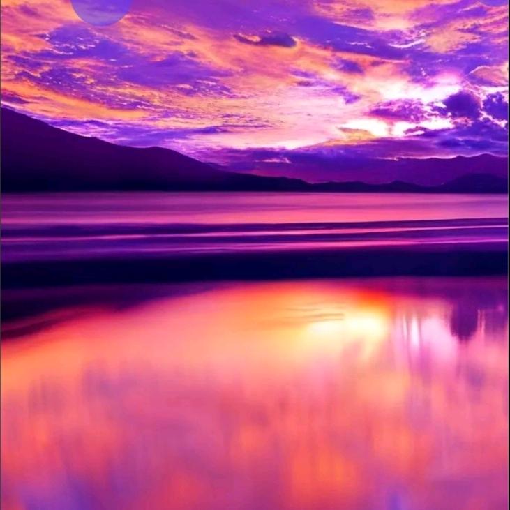 ꧁༺এ紫এ༻꧂