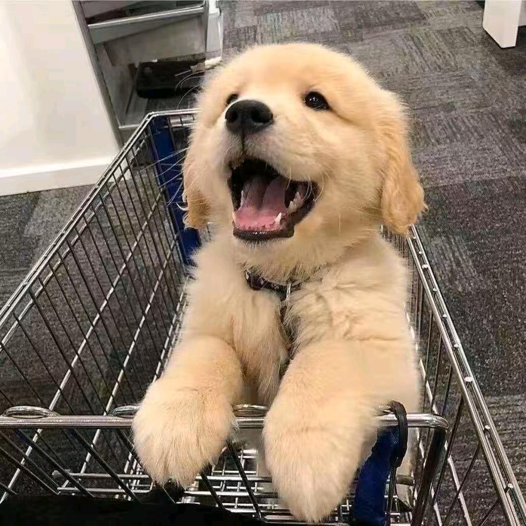 酒醉人