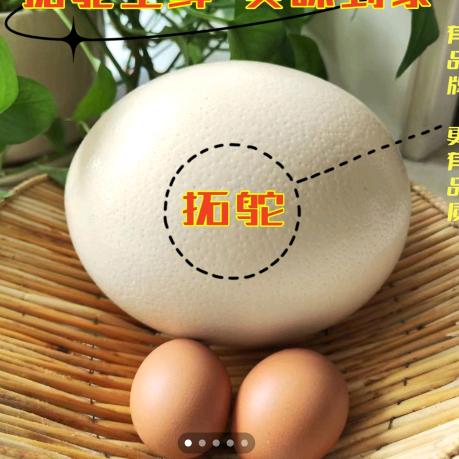 阿狸爱吃蛋