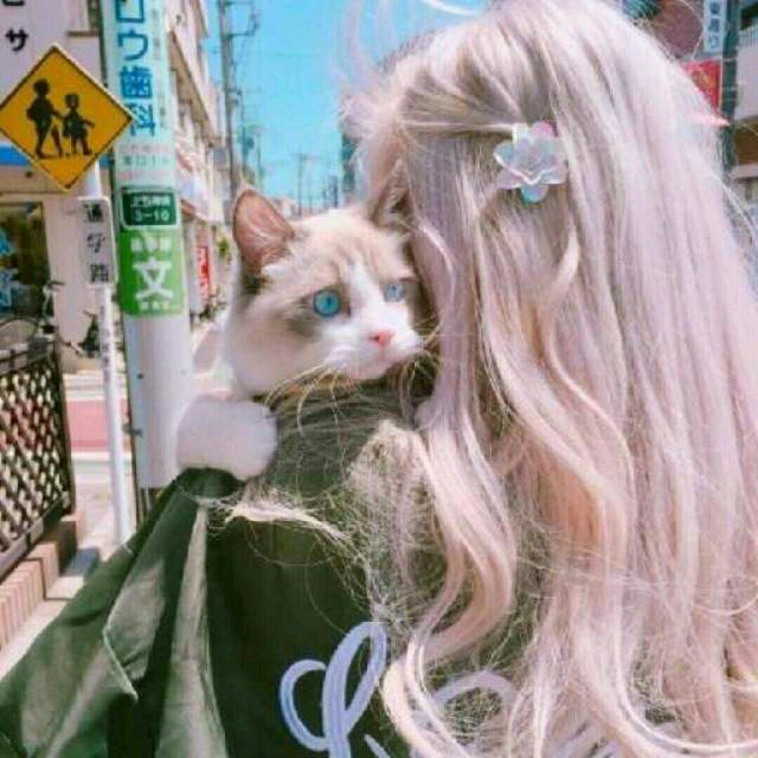 ٩无恙و