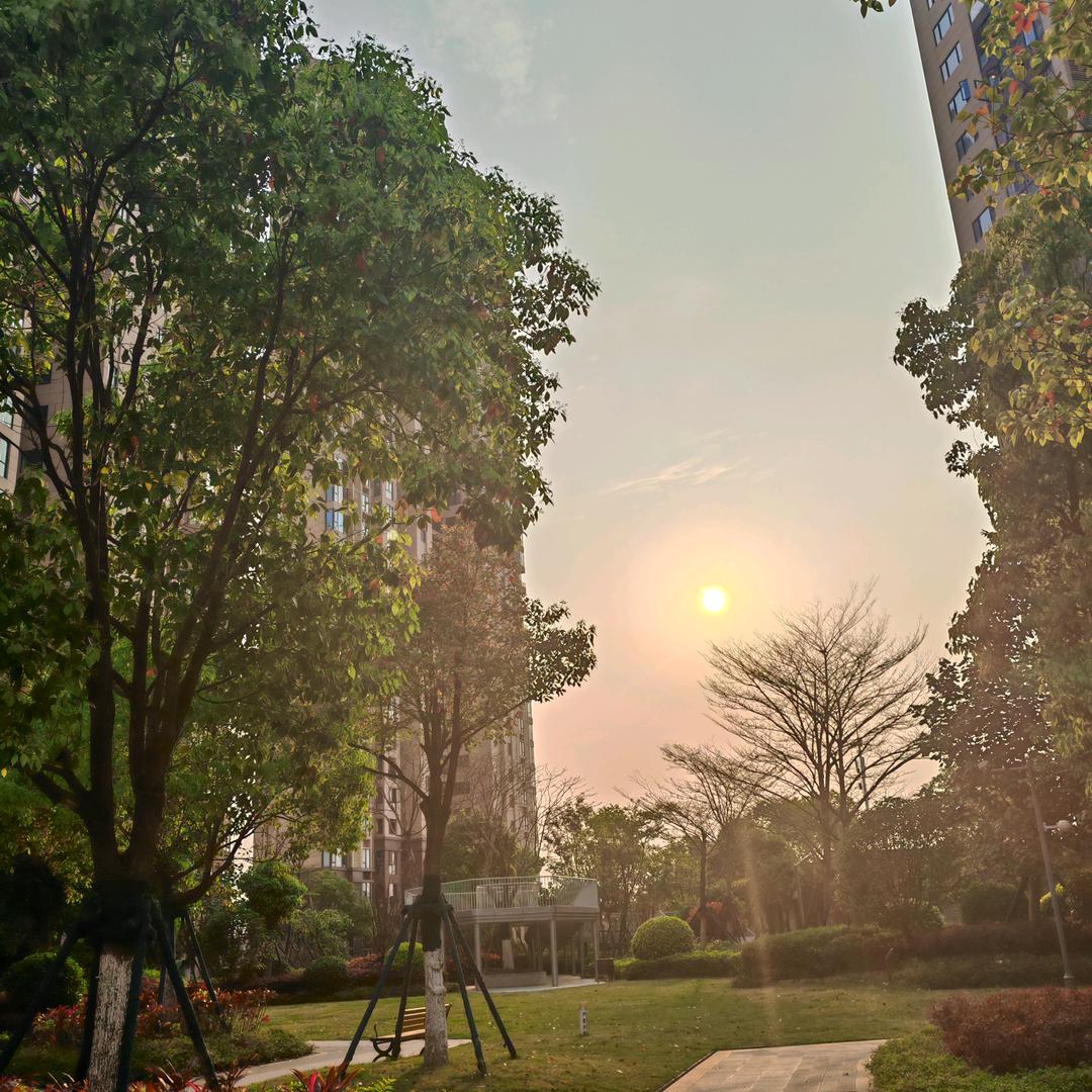 困困小助理