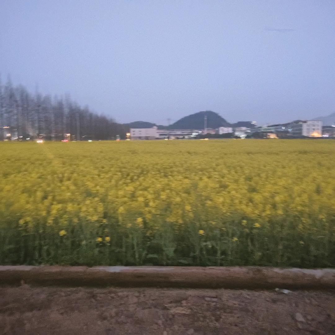 明天更美好
