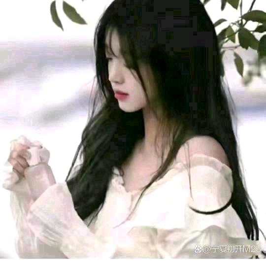 淑 女