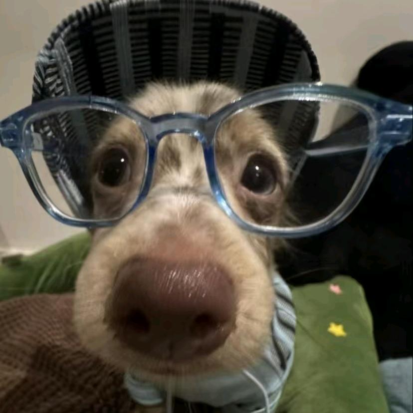 卖萌总被学妹揍