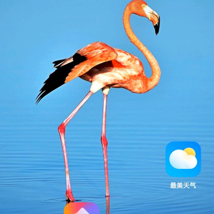 袁万顺