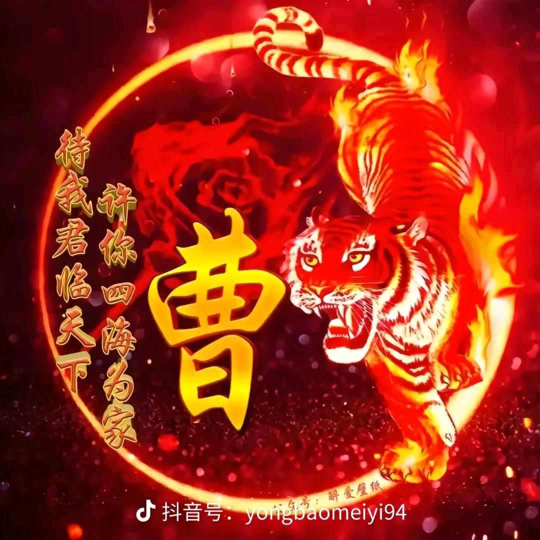 小曹叉车机械租赁