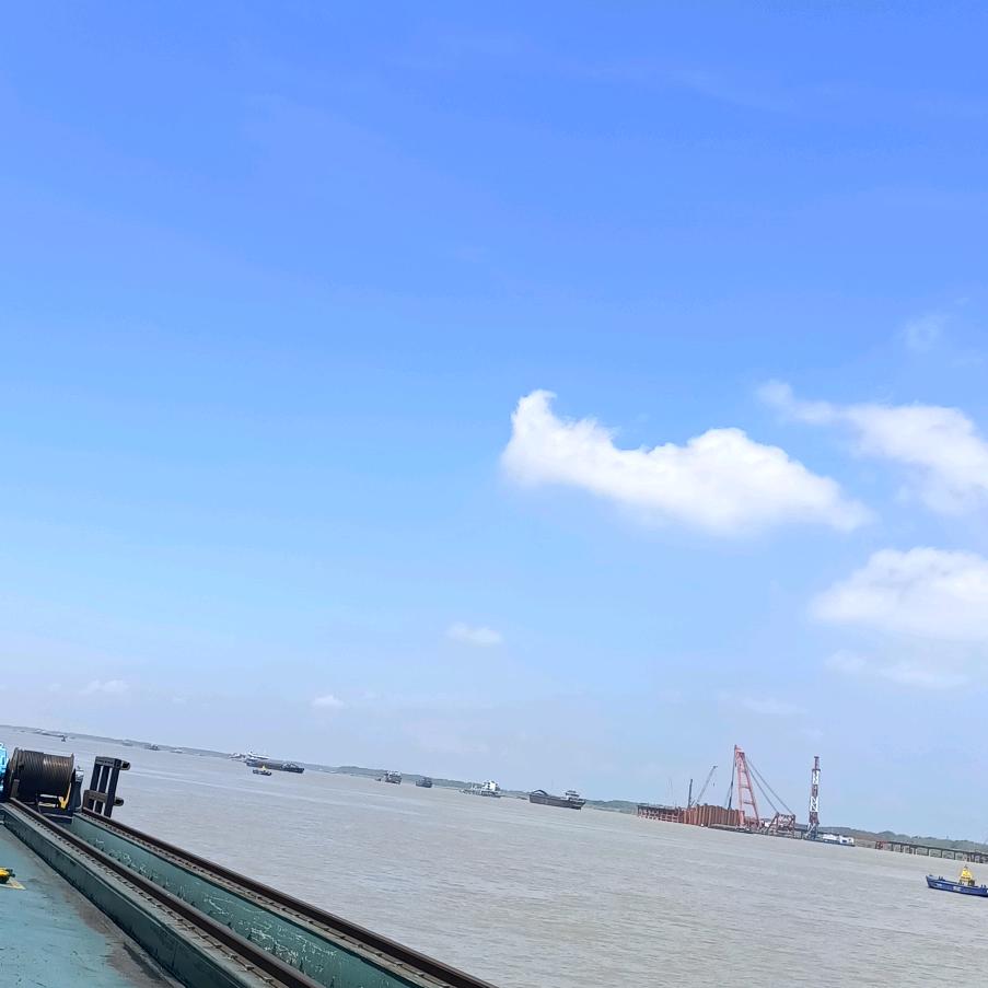 阳仔——