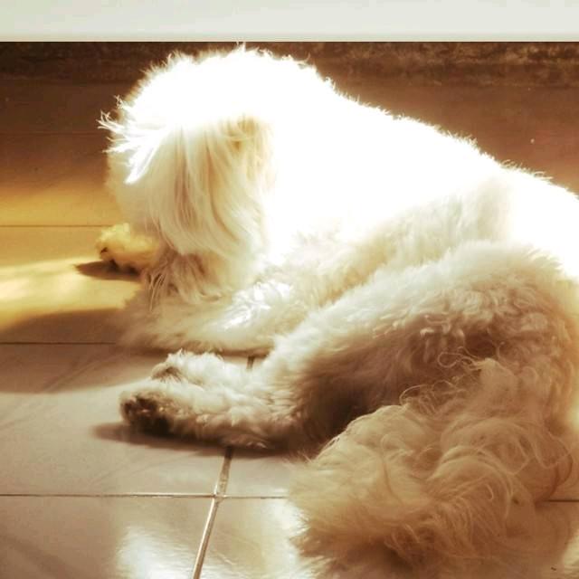 不爱吃瓜☁️º⁹²⁶