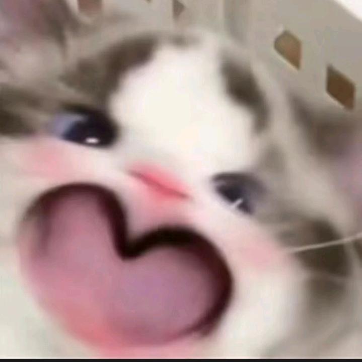 大馒头
