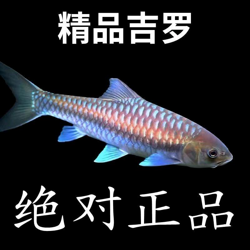 我专门做批发的