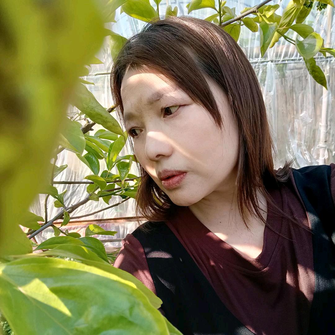 单身女郎