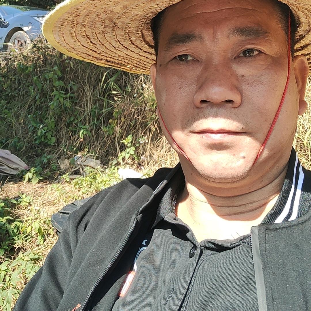 游记杨老四