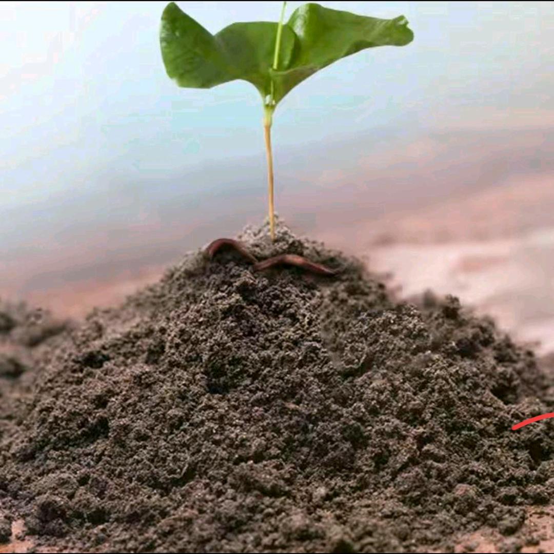 天成农业植保