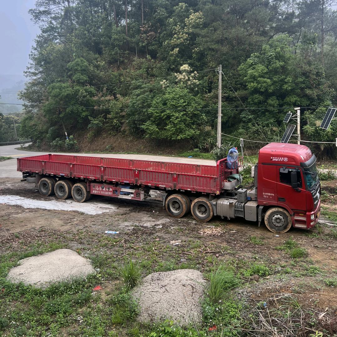 紫云小马