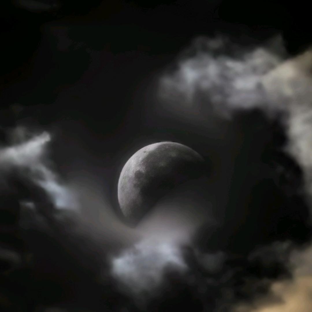 个冲怕🐖🐖🐖