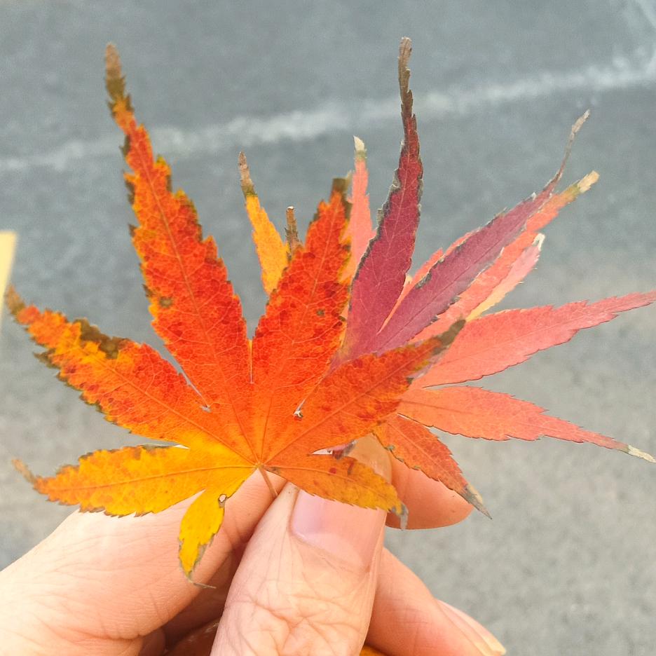 嘿！你很不错哦