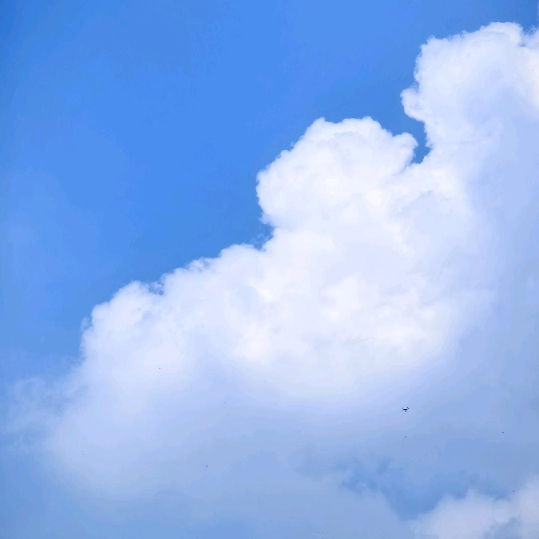 一兵