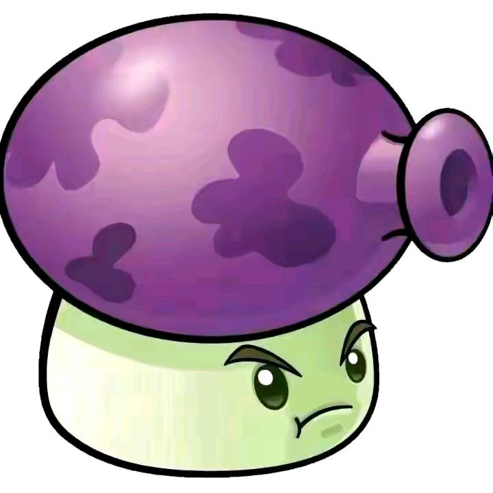 🟣🟣 🟣🟣🟣🟣 🟣